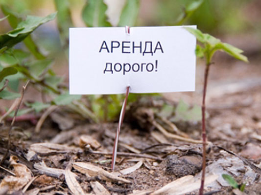 Депутаты Алушты по требованию Аксенова отменят 13-кратное повышение арендной платы за землю