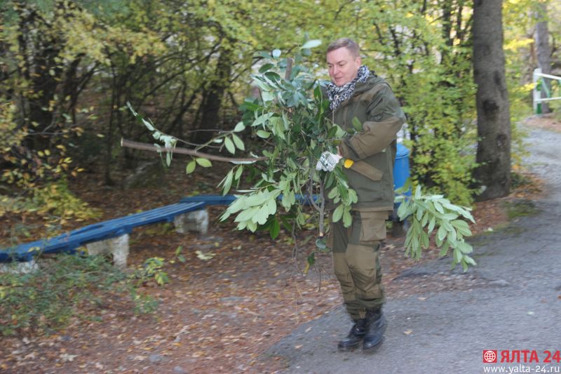 subotnik10