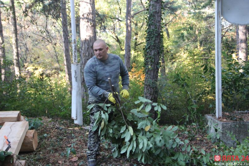 subotnik8