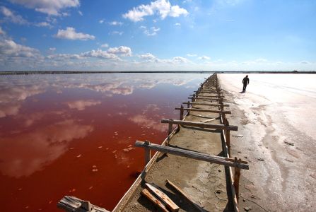 В Крыму озеру Сасык-Сиваш грозит экологическая катастрофа - ОНФ