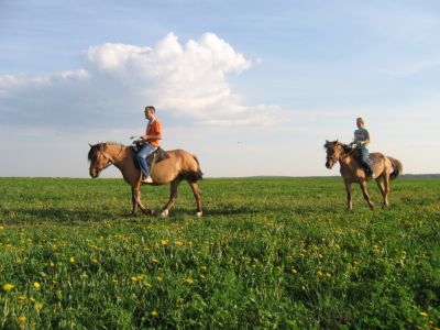 конные прогулки