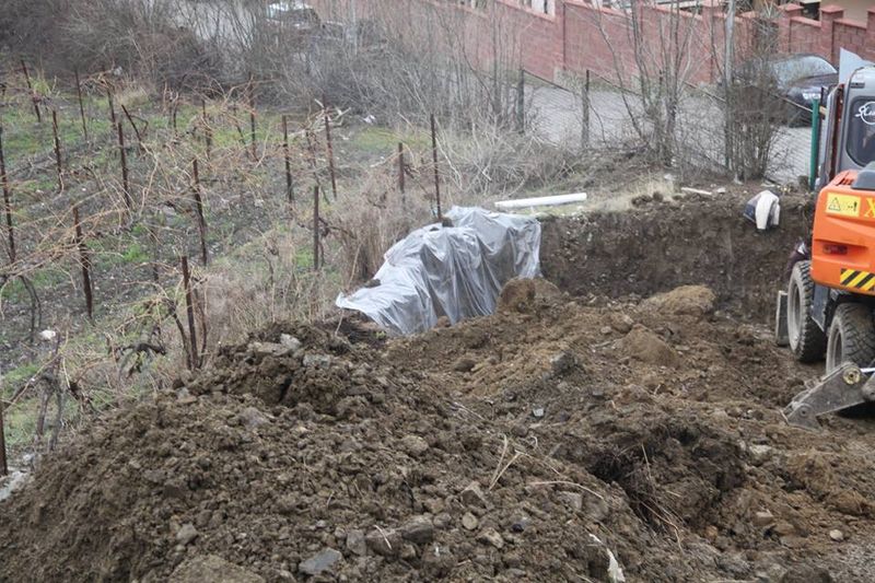 виноградники в Массандре повреждены