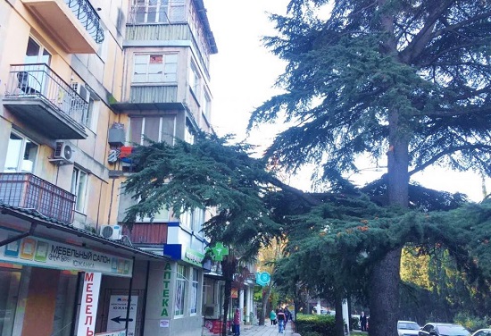 В Ялте на Московской 