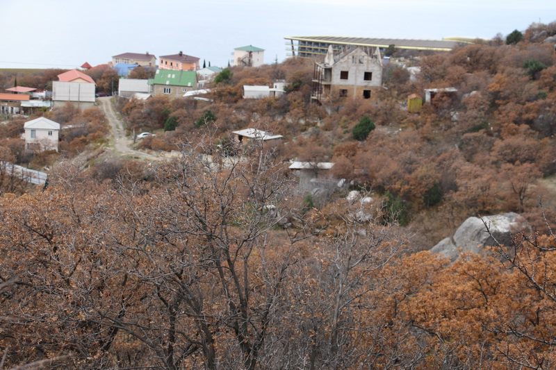 polyana protesta17 yalta 24