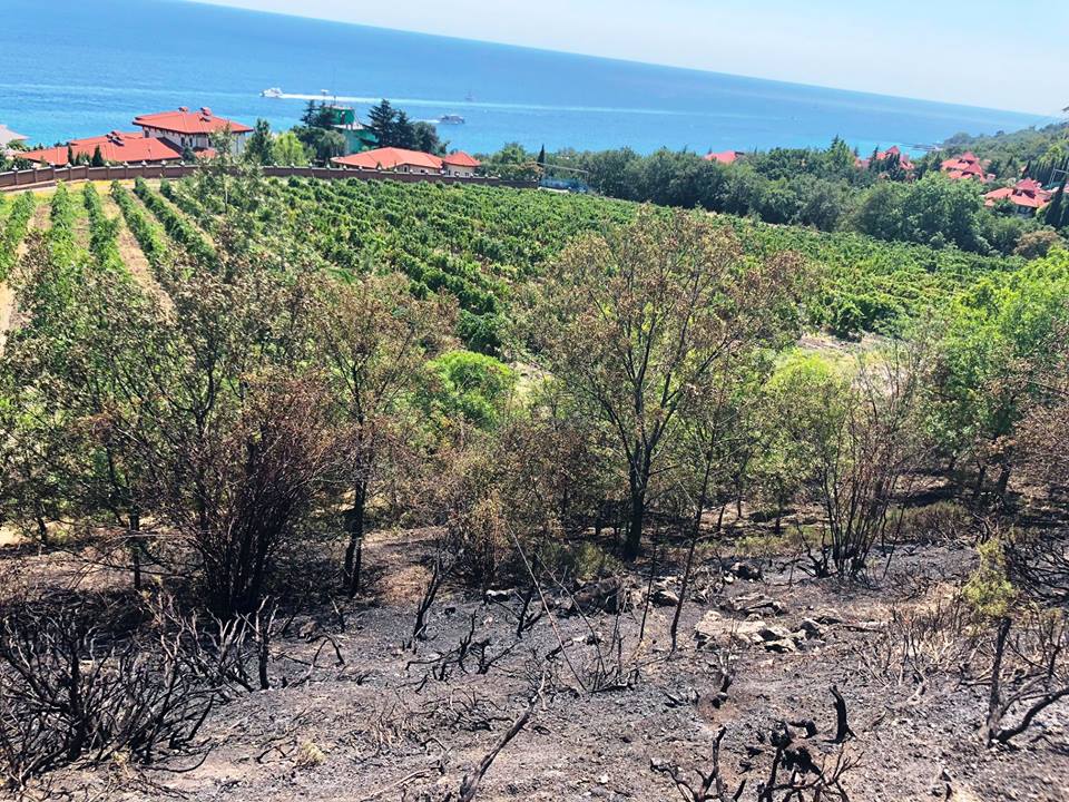 vinogradniki yalta