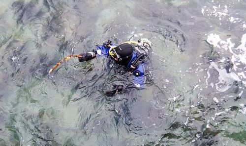 водолазы
