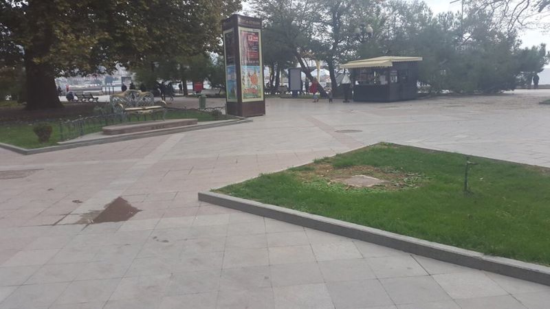 Набережная Ялты спиленные деревья