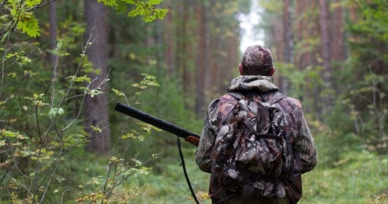 Запрет на охоту в лесах Ялты
