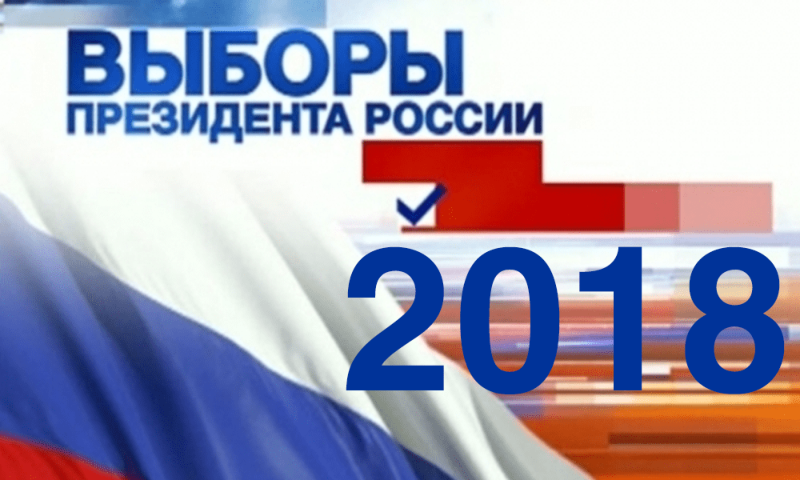vibori1