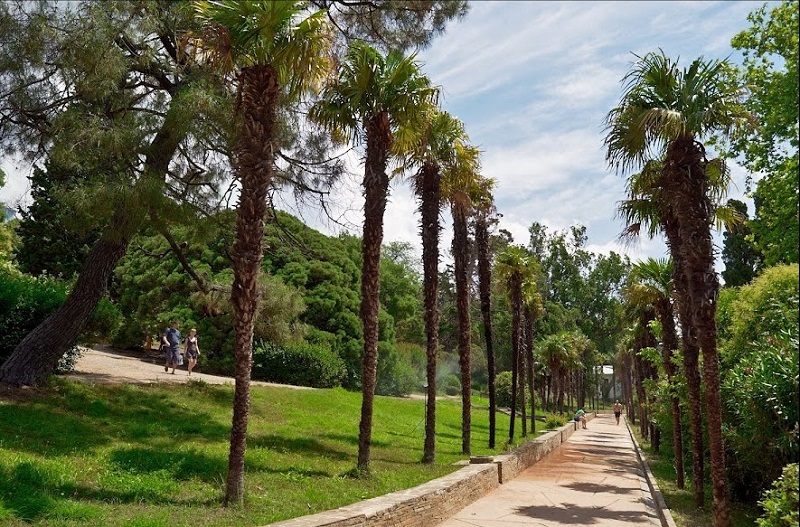 palmi1
