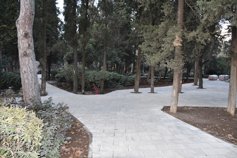 pionerskiy park3