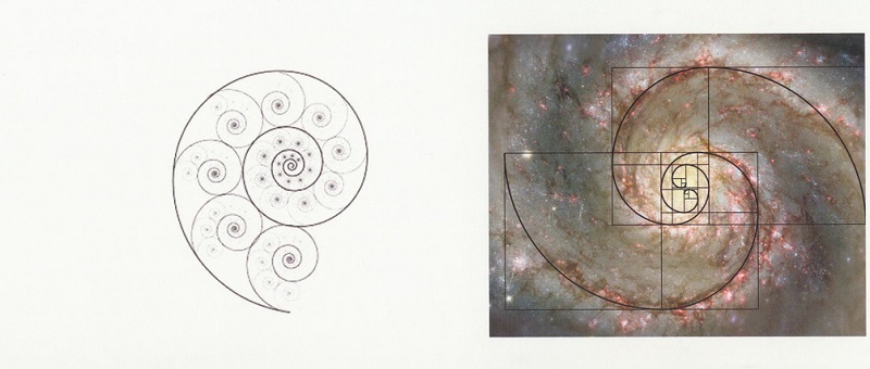 stela3
