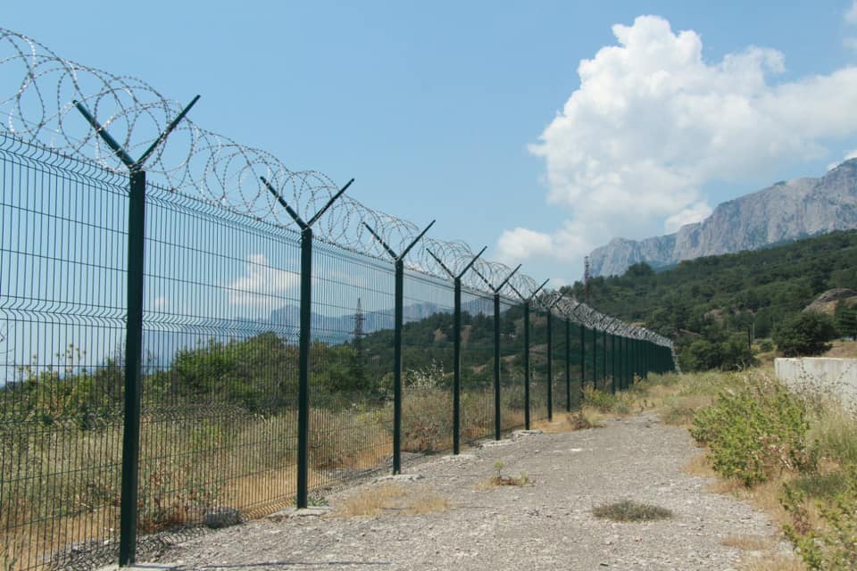 zabor opolznevoe3