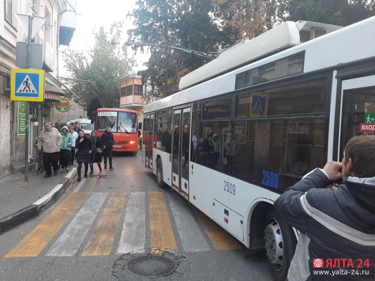 78047019 2560010964278553 6323294356342046720 n trolleibus