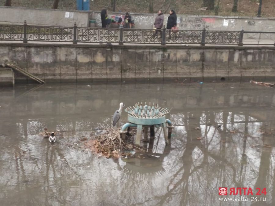 salgirsalgir4
