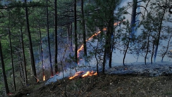 Пожары в Крыму