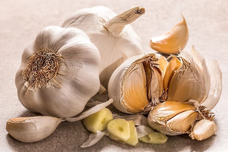 garlic 3419544 960 720 eda