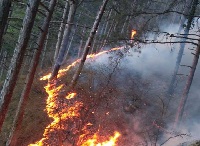 Пожар Боткинская тропа