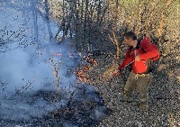 Пожары в Крыму