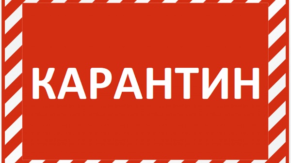 Карантин