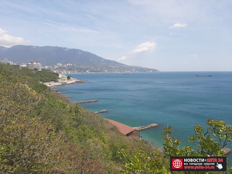 1yalta vid