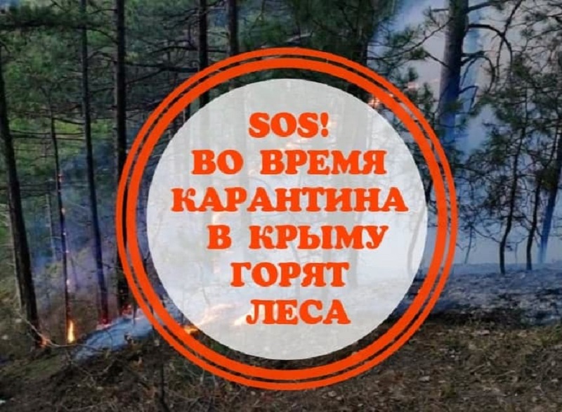 sos goryat lesa
