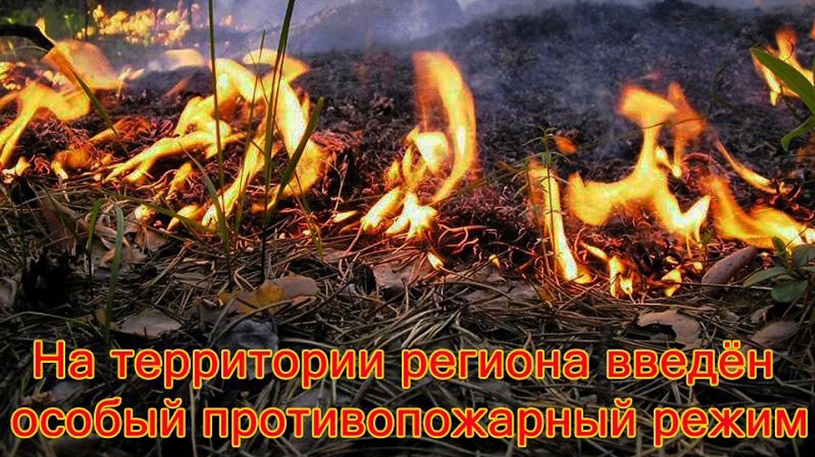 Противопожарный режим