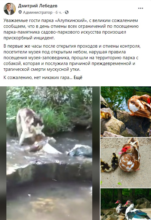 alupka utka sobaka