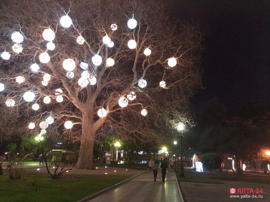 platan dunkan yalta 24