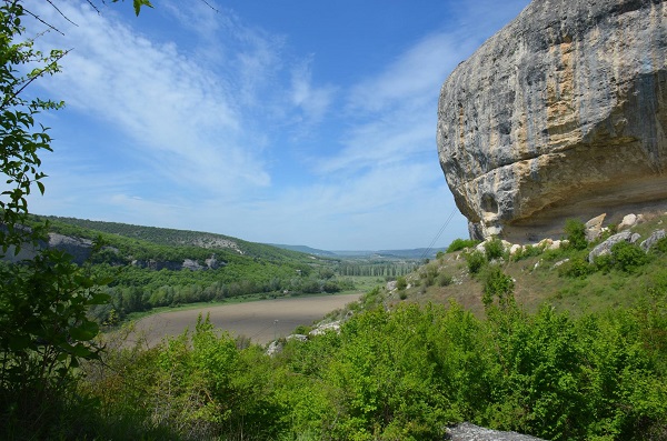 Лес в Крыму