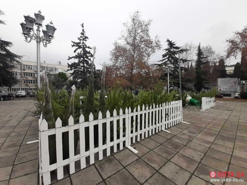 елочные базары в Ялте