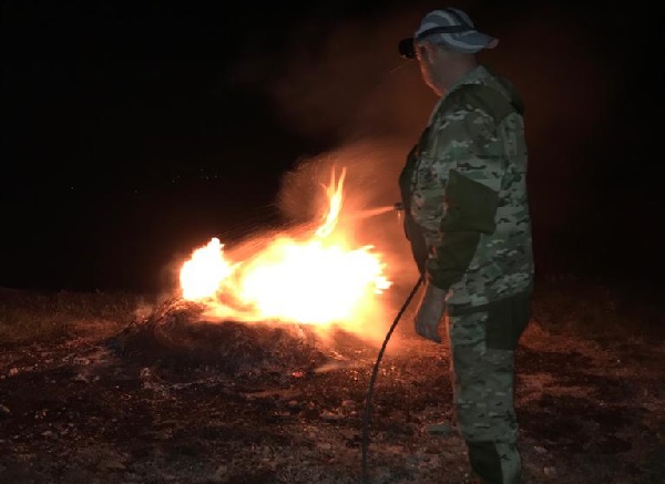 Пожар в лесу Крыма