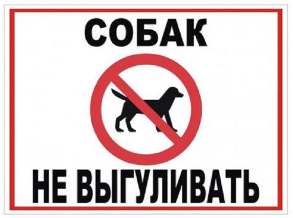Выгул собак 