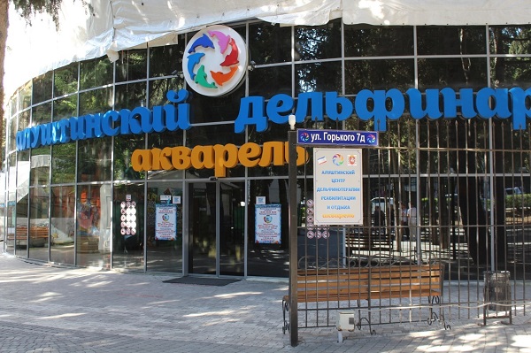 Дельфин в Крыму