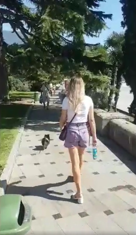 vigul sobaki yalta 24