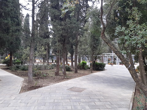pionerskiy park1