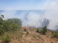 Пожар в Ялте