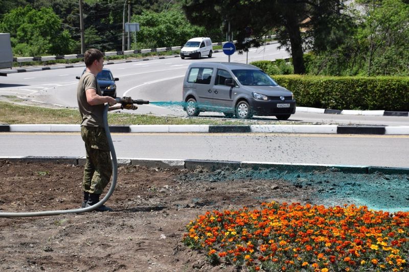 гидропосев в Ялте