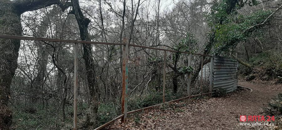 solnecnaya tropa
