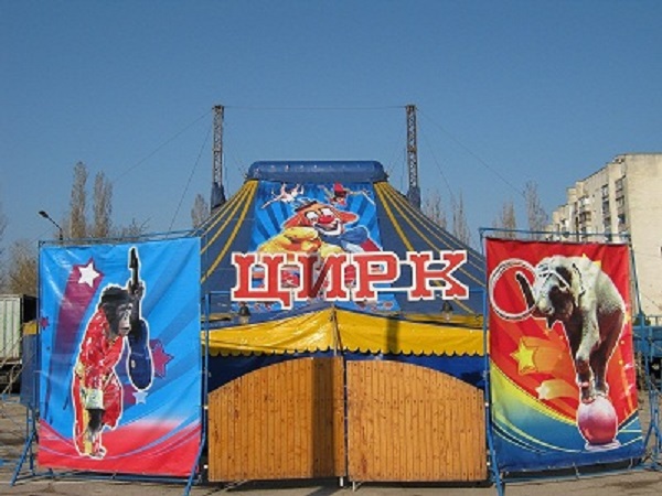 Ялтинцы в новогодние праздники смогут посетить цирк