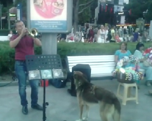 Уличные музыканты в Ялте