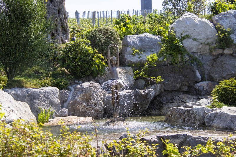 Винный парк Winepark на территории курортного комплекса Mriya Resort & SPA