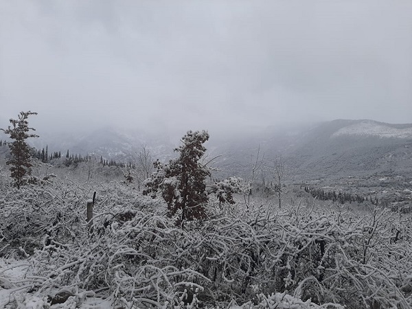 Погода в Крыму