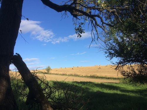 landscape 2384758 1920 semlya
