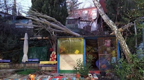 Непогода в Ялте: оперативная сводка на 08:00