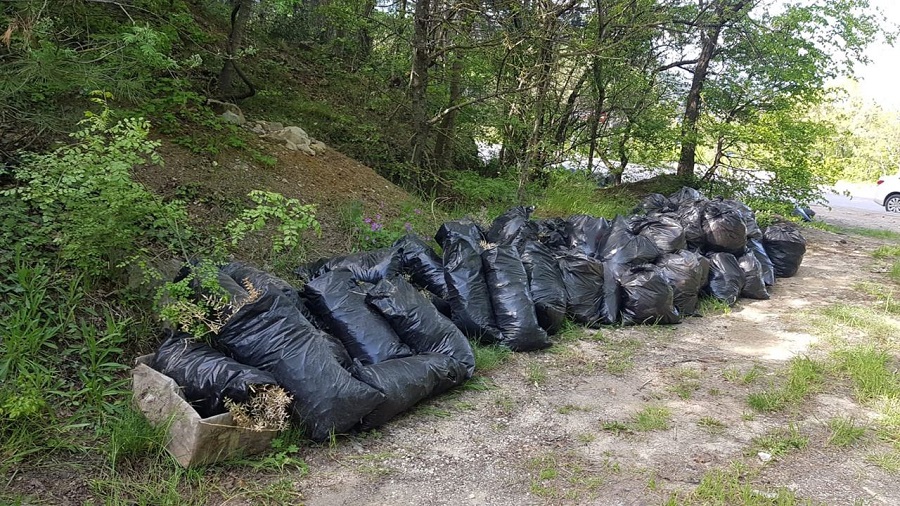 ochistka territoriy6