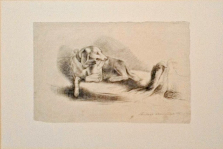 muzey pushkin vistavka 1