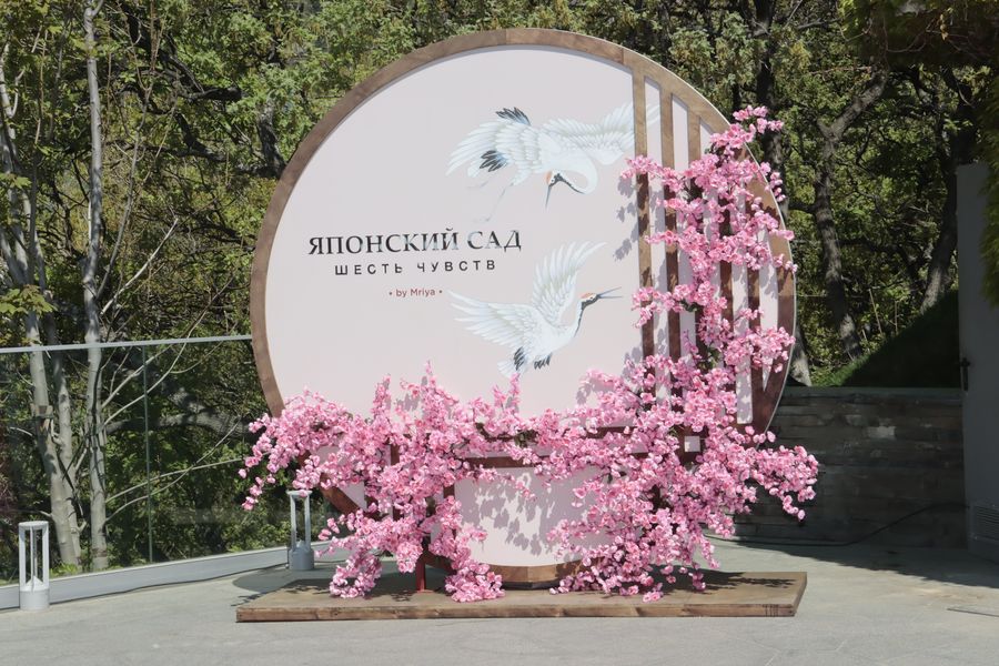 1SAKURA MRIYA0