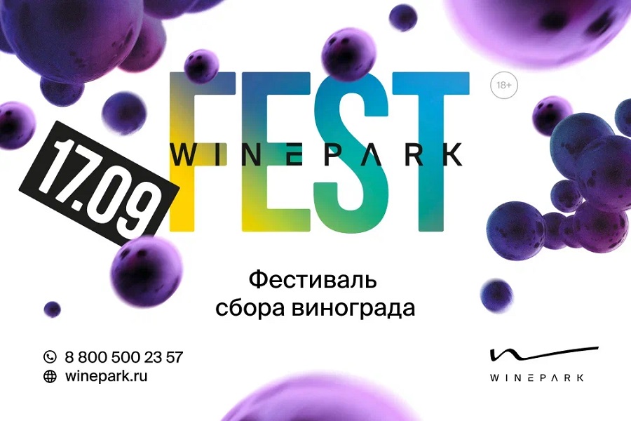 fest winer
