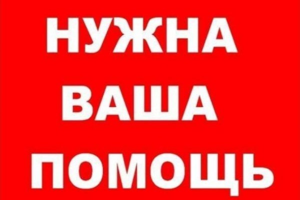 Новый помощник главы администрации будет координировать работу с мобилизованными и членами их семей